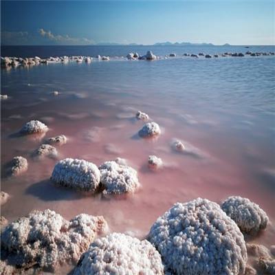 飞马流星内购破解版下载